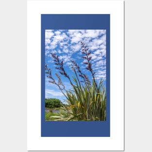 NZ flax bush. Posters and Art